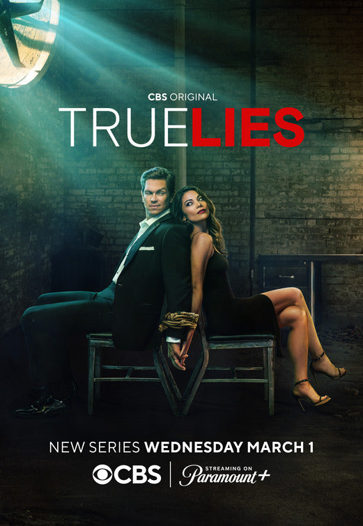 1000 piece jigsaw puzzle for tv poster: True Lies, ver3