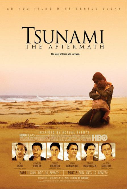 1000 piece jigsaw puzzle for tv poster: Tsunami: The Aftermath