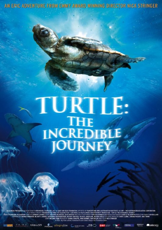 1000 piece jigsaw puzzle for the movie poster: Turtle: The Incredible Journey (2011)
