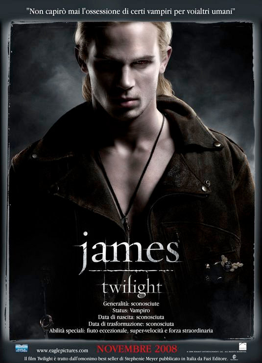 the movie poster: Twilight (2008) ver4