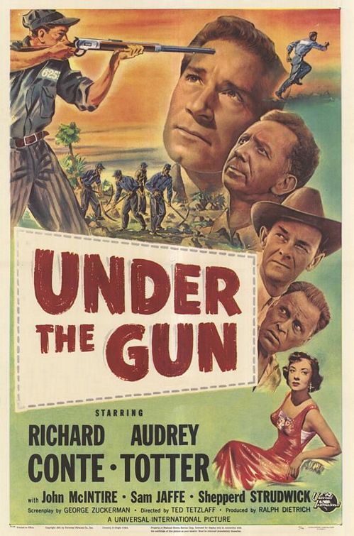 the movie poster: Under the Gun (1951)