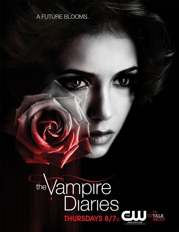 1000 piece jigsaw puzzle for tv poster: The Vampire Diaries, ver23