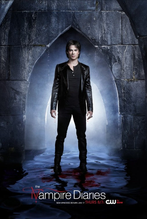 1000 piece jigsaw puzzle for tv poster: The Vampire Diaries, ver35