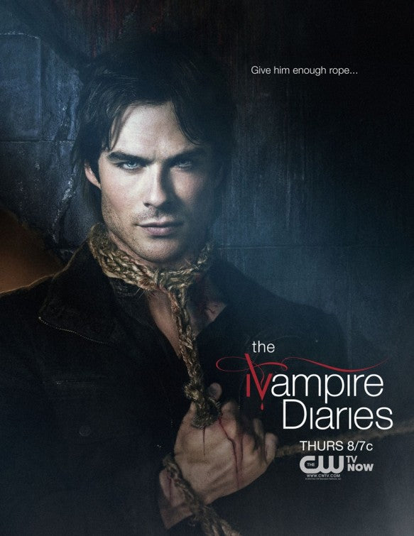 1000 piece jigsaw puzzle for tv poster: The Vampire Diaries, ver41