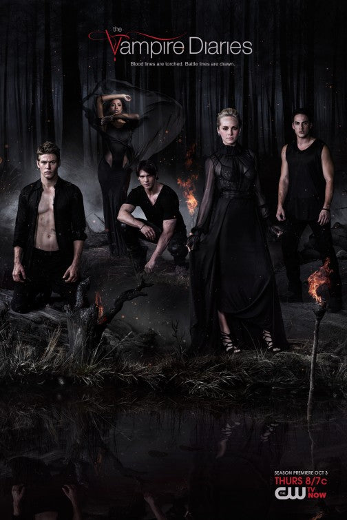 1000 piece jigsaw puzzle for tv poster: The Vampire Diaries, ver46