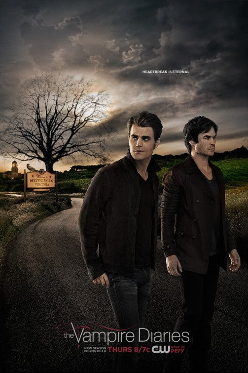 1000 piece jigsaw puzzle for tv poster: The Vampire Diaries, ver59