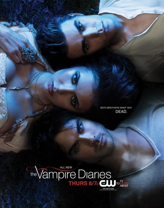 1000 piece jigsaw puzzle for tv poster: The Vampire Diaries, ver8