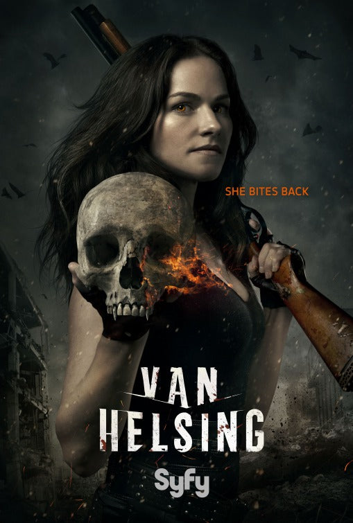 1000 piece jigsaw puzzle for tv poster: Van Helsing