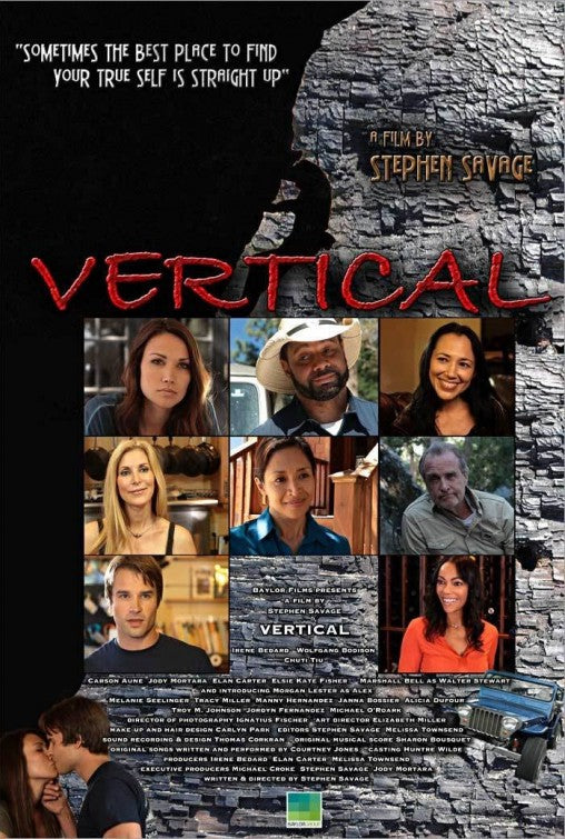 1000 piece jigsaw puzzle for the movie poster: Vertical (2013)