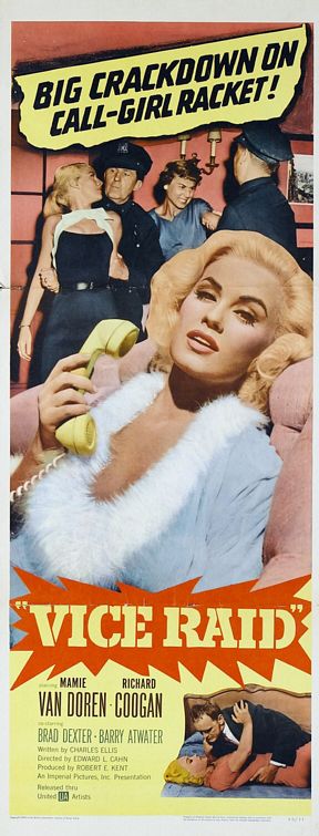 the movie poster: Vice Raid (1960) ver2