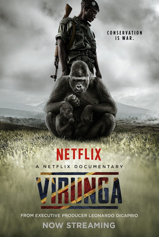 1000 piece jigsaw puzzle for the movie poster: Virunga (2014) ver2