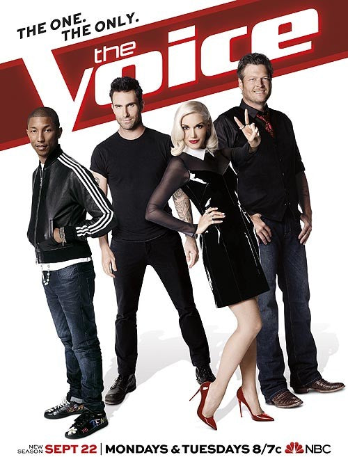 1000 piece jigsaw puzzle for tv poster: The Voice, ver8