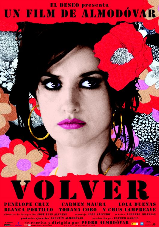 the movie poster: Volver (2006)