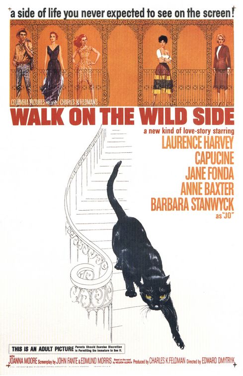 the movie poster: Walk on the Wild Side (1962)
