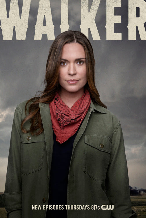 1000 piece jigsaw puzzle for tv poster: Walker, ver12