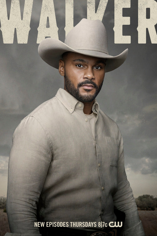1000 piece jigsaw puzzle for tv poster: Walker, ver8