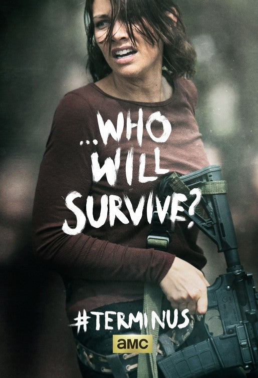 1000 piece jigsaw puzzle for tv poster: The Walking Dead, ver35