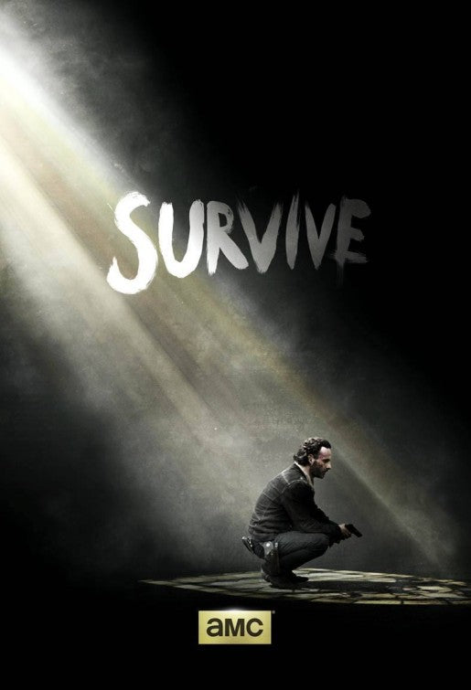 1000 piece jigsaw puzzle for tv poster: The Walking Dead, ver36