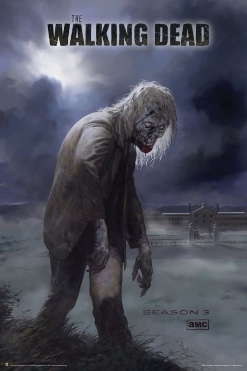 1000 piece jigsaw puzzle for tv poster: The Walking Dead, ver9