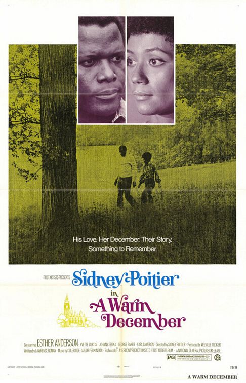 the movie poster: A Warm December (1973) ver2