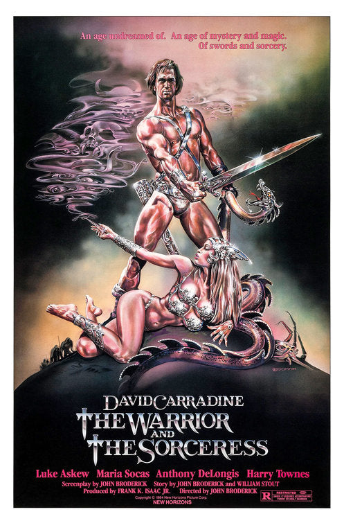 the movie poster: The Warrior and the Sorceress (1984)