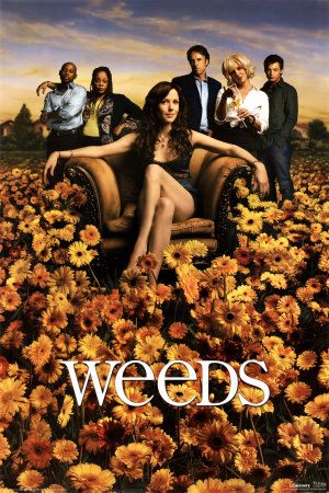 1000 piece jigsaw puzzle for tv poster: Weeds