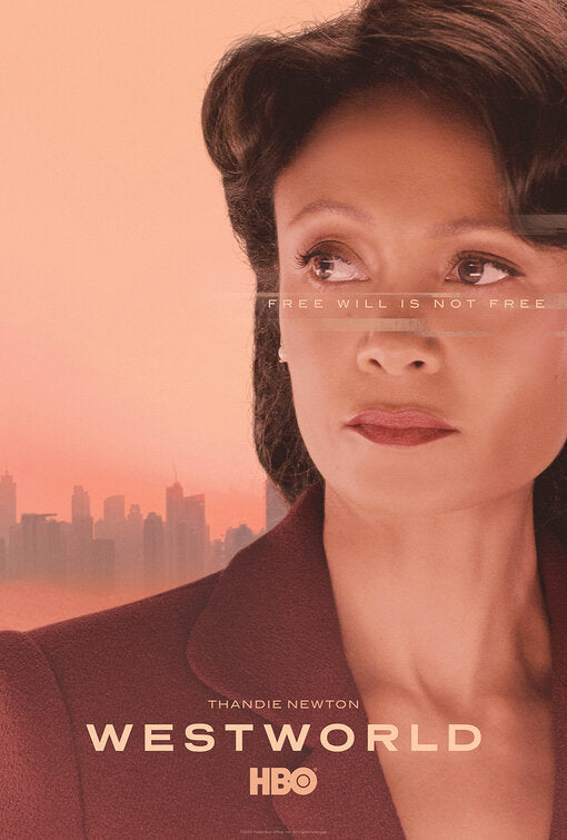 1000 piece jigsaw puzzle for tv poster: Westworld, ver23