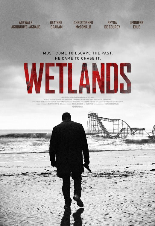 1000 piece jigsaw puzzle for the movie poster: Wetlands (2017)