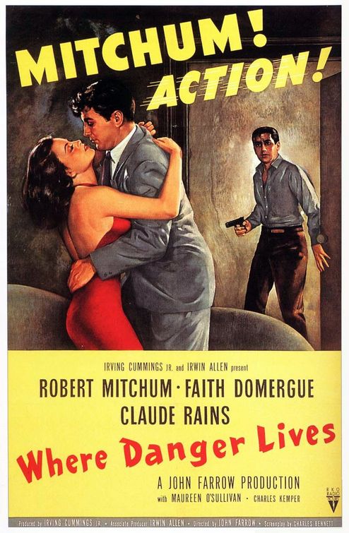 the movie poster: Where Danger Lives (1950)