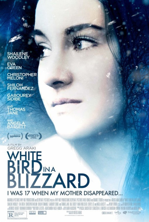 1000 piece jigsaw puzzle for the movie poster: White Bird in a Blizzard (2014)