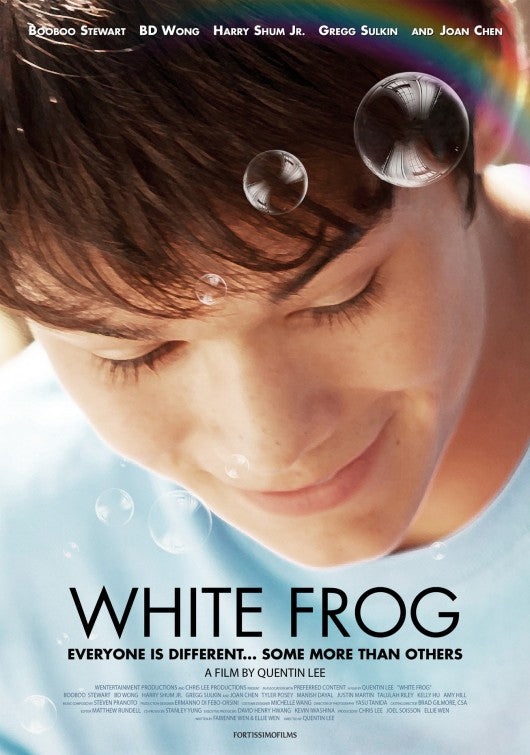 1000 piece jigsaw puzzle for the movie poster: White Frog (2013)