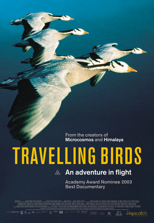 the movie poster: Winged Migration (2002) ver2