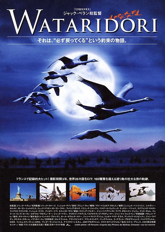 the movie poster: Winged Migration (2002) ver3