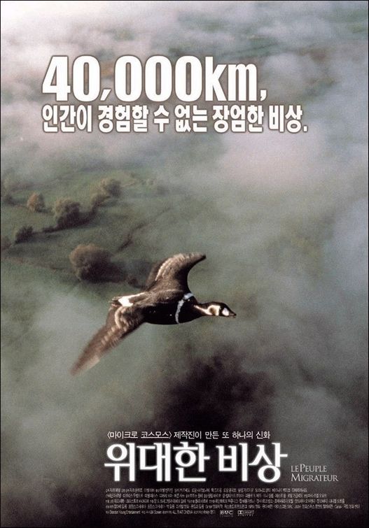the movie poster: Winged Migration (2002) ver4