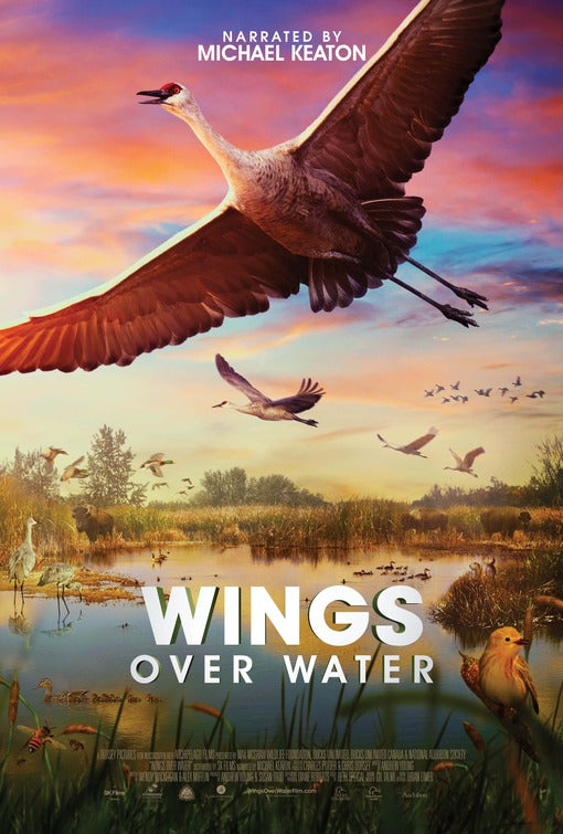 1000 piece jigsaw puzzle for the movie poster: Wings Over Water (2022)