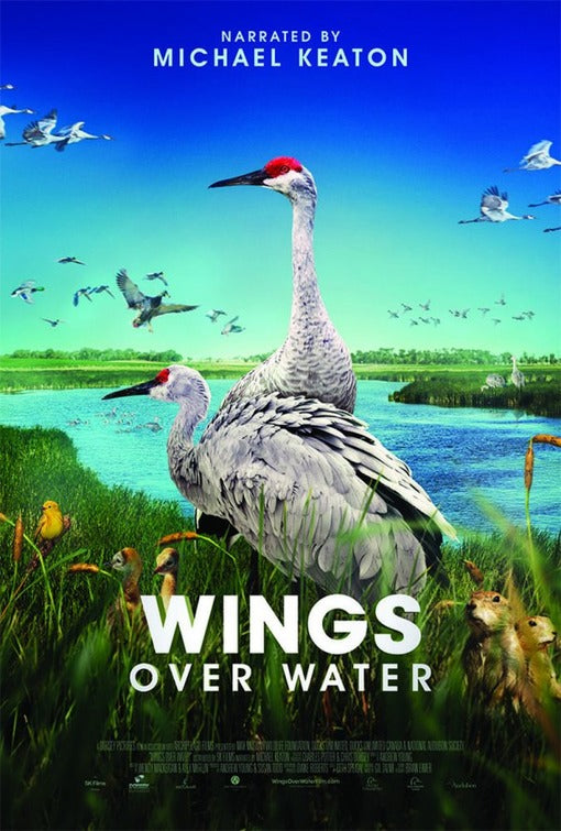 1000 piece jigsaw puzzle for the movie poster: Wings Over Water (2022) ver2