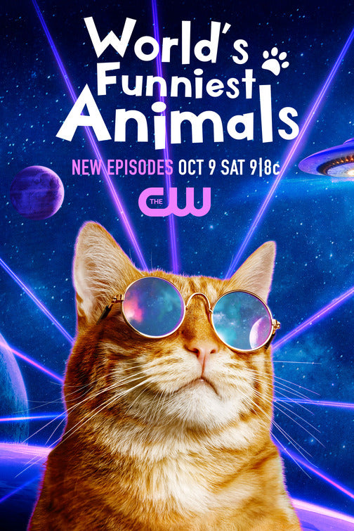 1000 piece jigsaw puzzle for tv poster: The World's Funniest Animals