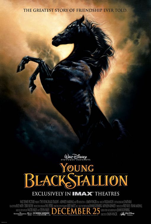 the movie poster: Young Black Stallion (2003)