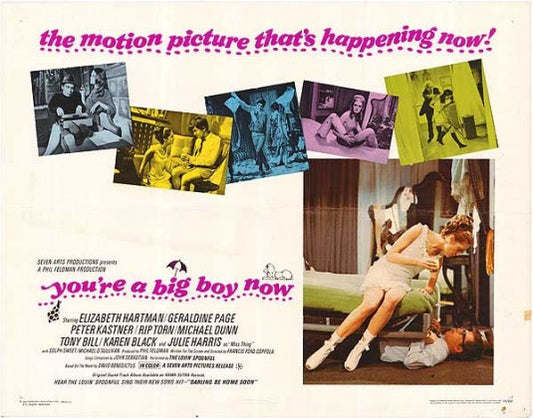 1000 piece jigsaw puzzle for the movie poster: You're a Big Boy Now (1966) ver2