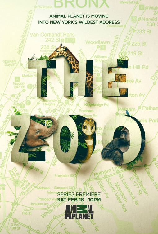 1000 piece jigsaw puzzle for tv poster: The Zoo